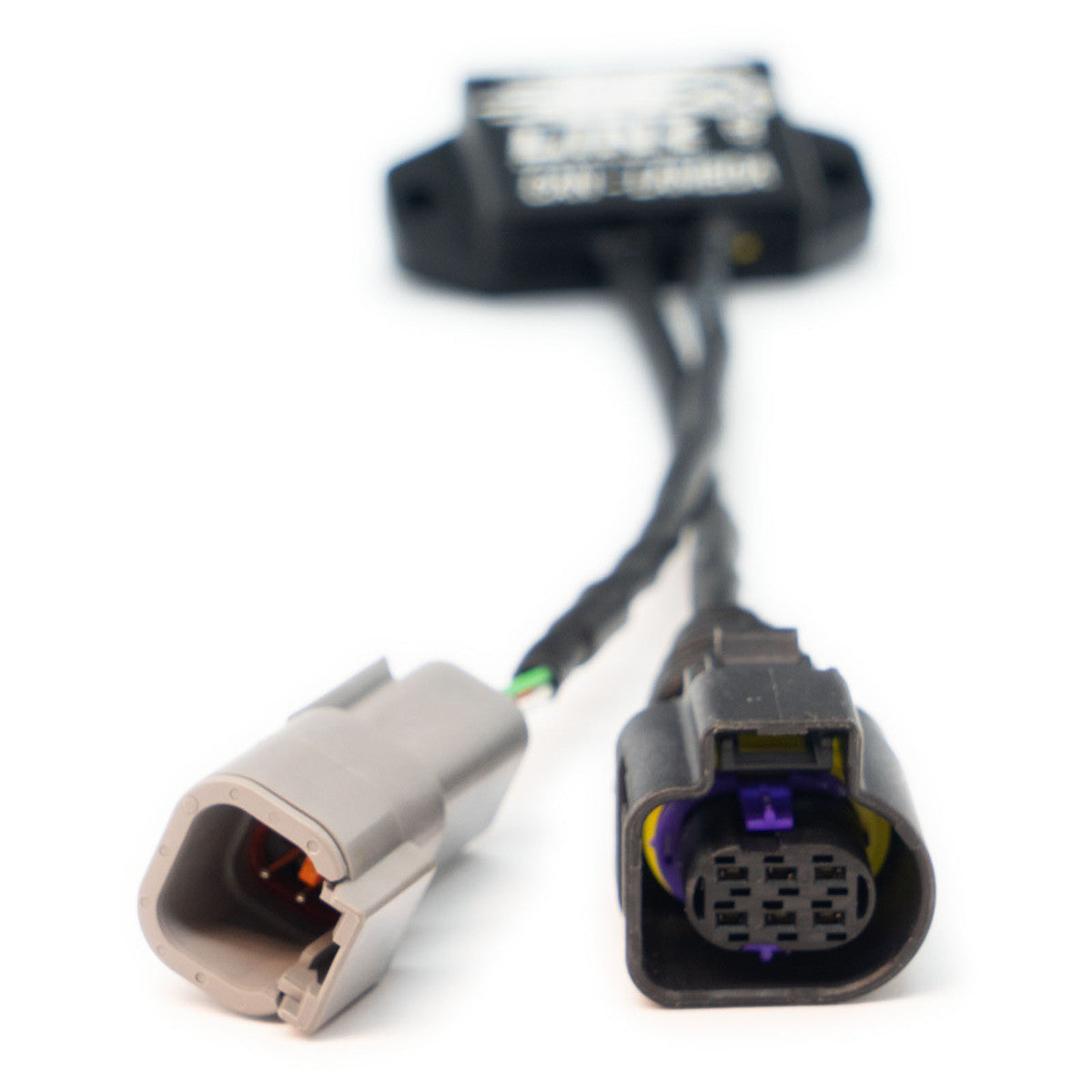 Link ECU CAN Lambda (CANLAM)