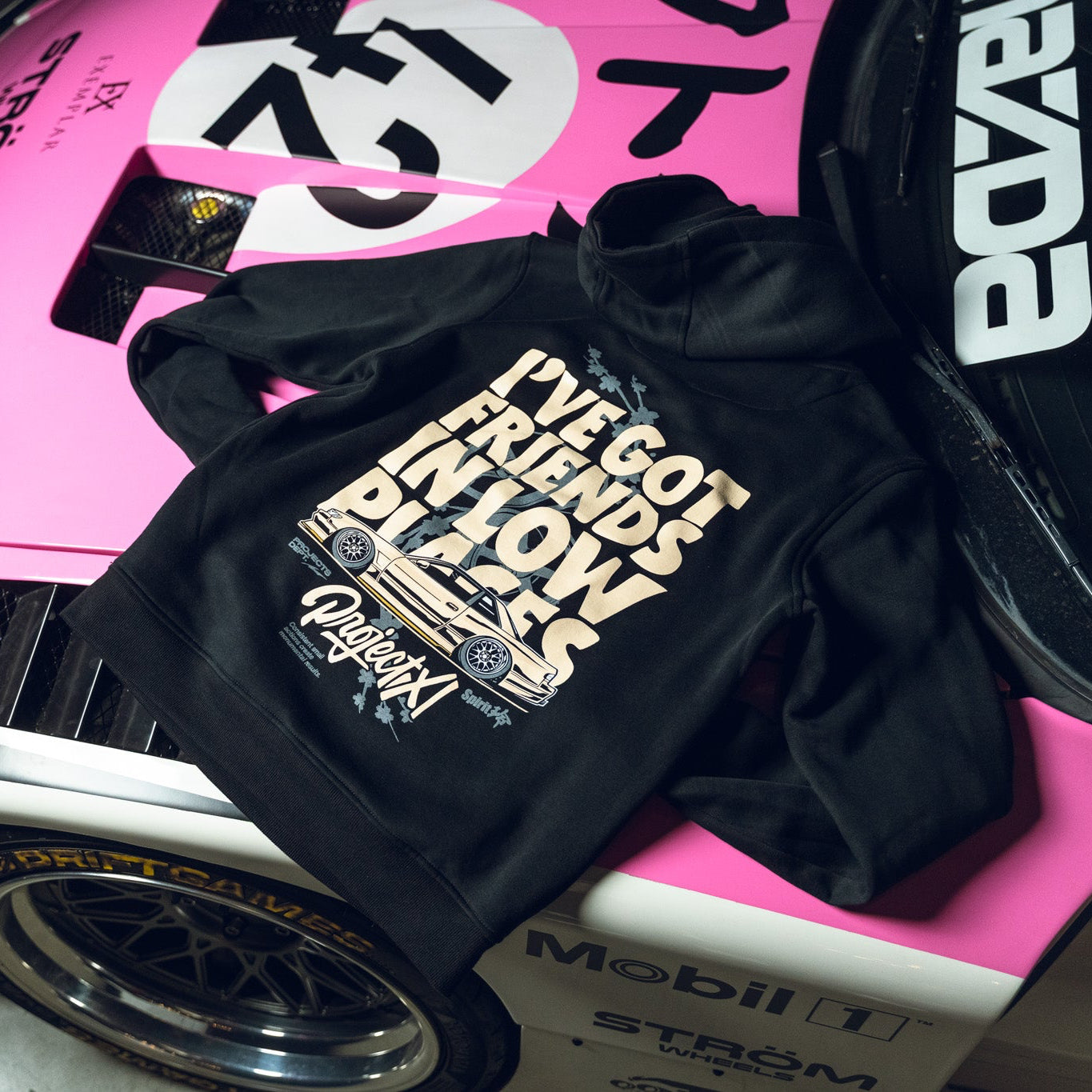 Friends in Low Places Hoody