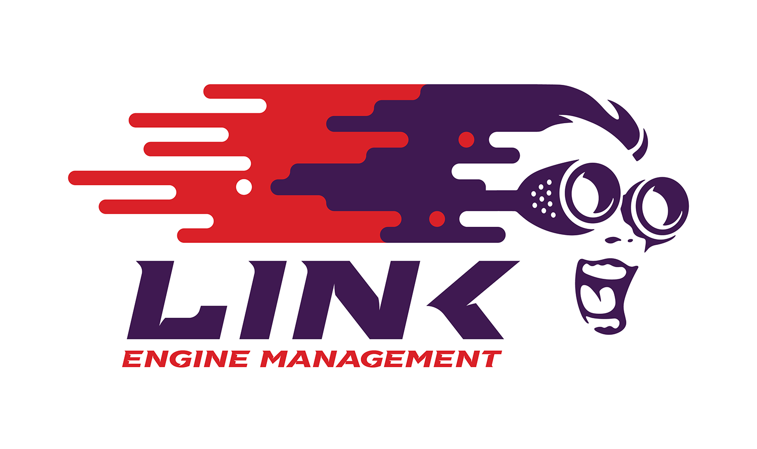 Link ECU Updated Landing